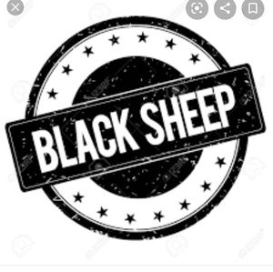 Meet your Posher, Bradley